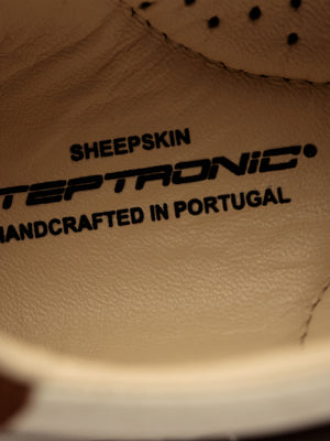 Steptronic Scanda