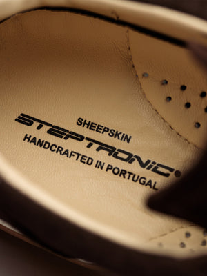 Steptronic Scanda