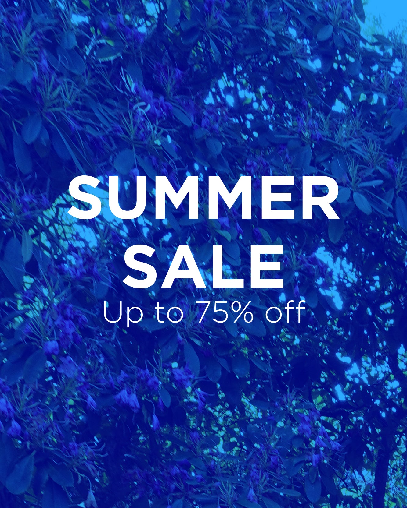 Summer Sale