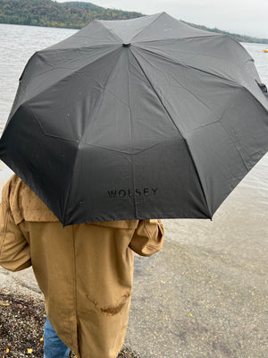 The Umbrella