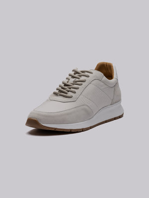 Steptronic Springwell Trainer