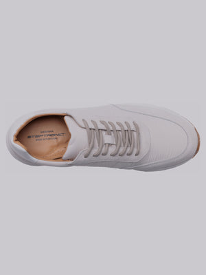 Steptronic Springwell Trainer