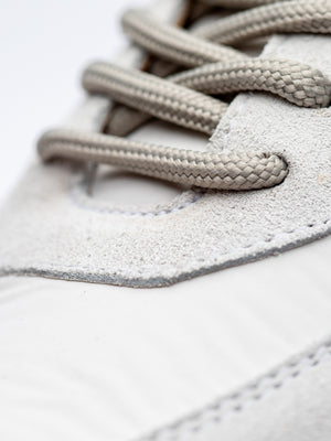 Steptronic Springwell Trainer