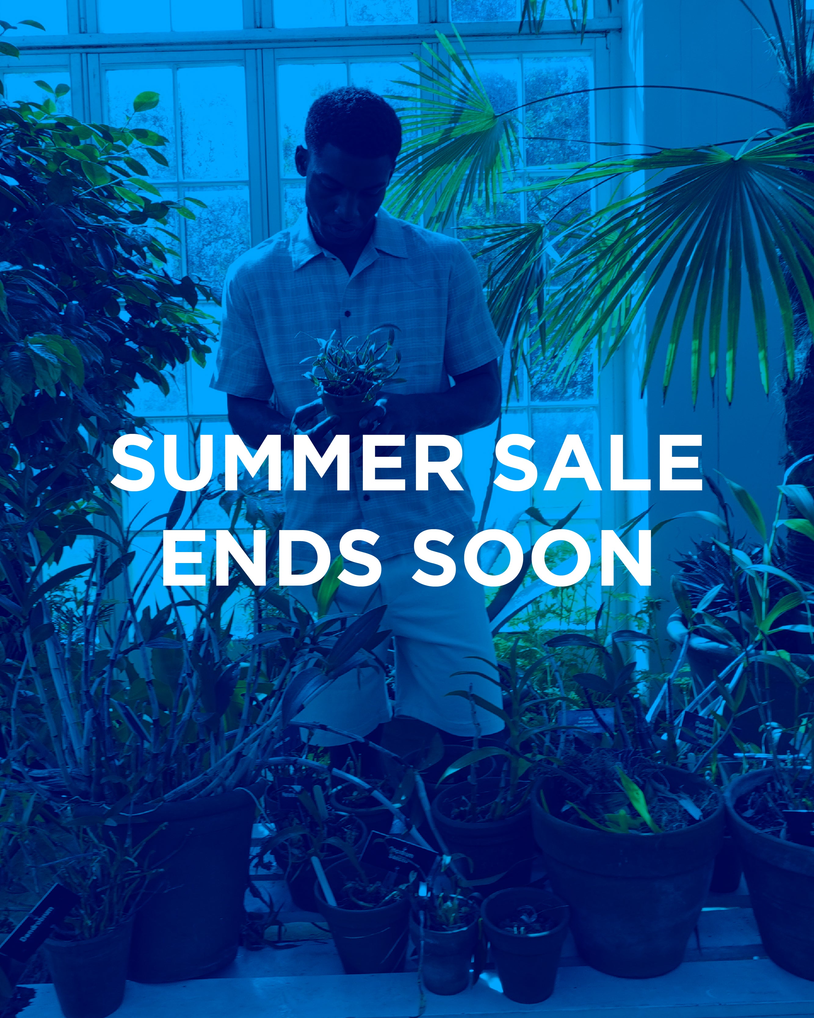 Summer Sale